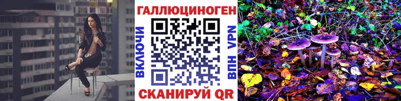Псилоцибиновые грибы Psilocybe  Купить  Завитинск 
