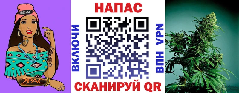 Бошки марихуана Bruce Banner Завитинск